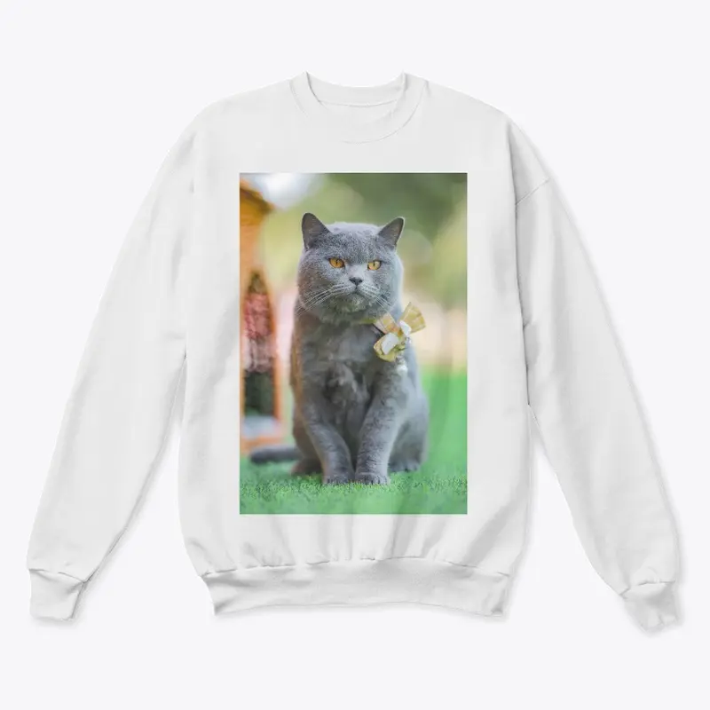 Qiuqiu Manor Sweatshirt